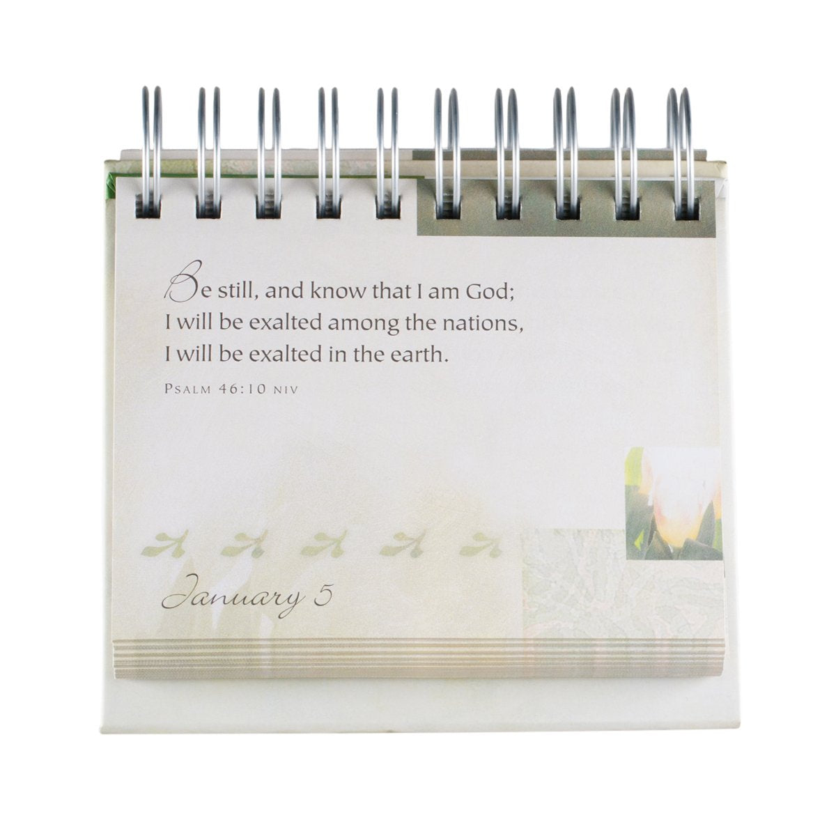 God's Promises Day by Day: 365 Days of Inspirational Thoughts - An Inspirational DaySpring DayBrightener - Perpetual Calendar