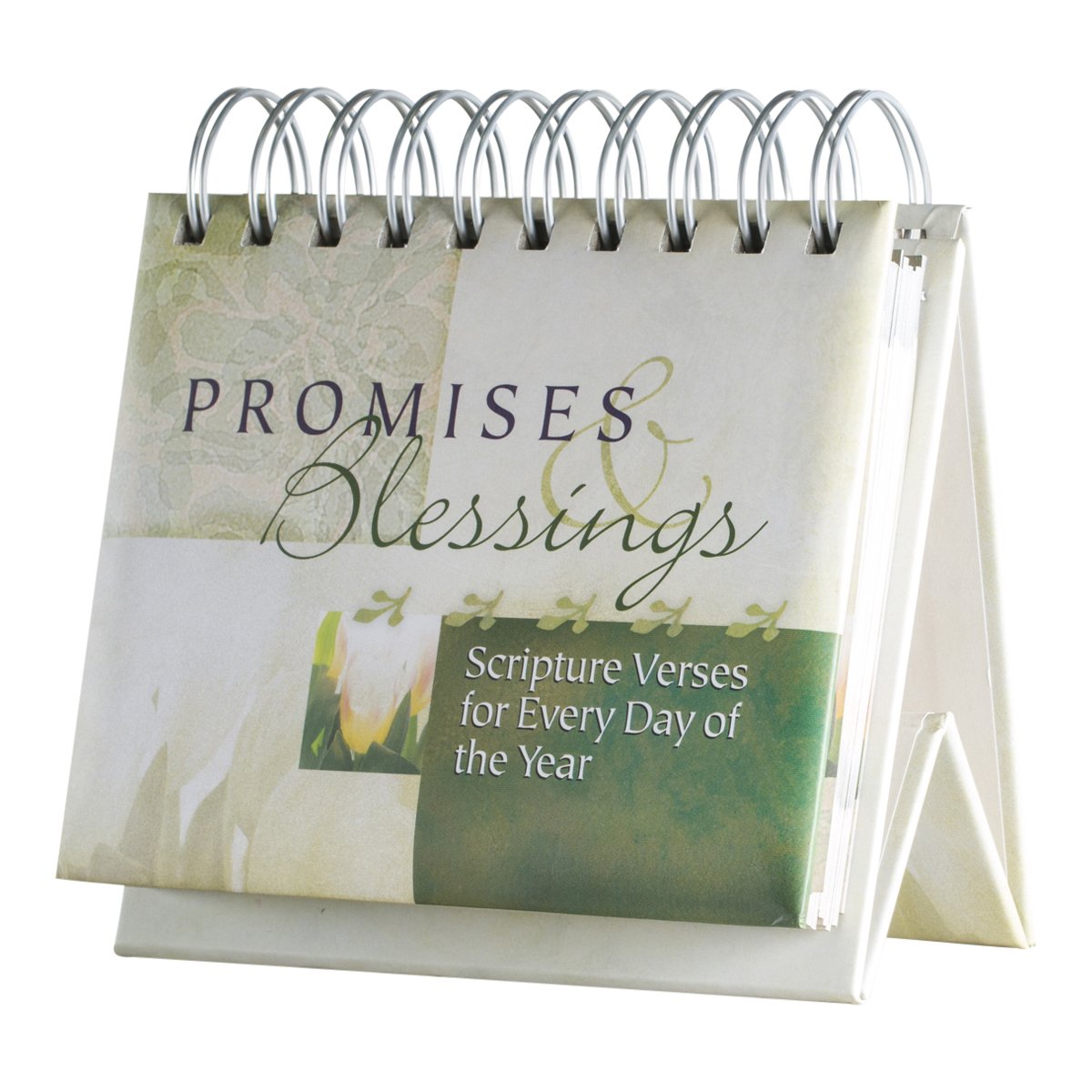 God's Promises Day by Day: 365 Days of Inspirational Thoughts - An Inspirational DaySpring DayBrightener - Perpetual Calendar