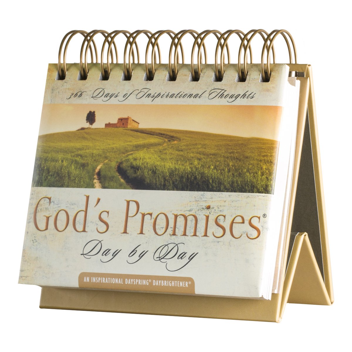 God's Promises Day by Day: 365 Days of Inspirational Thoughts - An Inspirational DaySpring DayBrightener - Perpetual Calendar