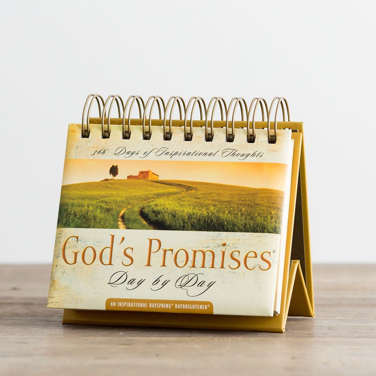 God's Promises Day by Day: 365 Days of Inspirational Thoughts - An Inspirational DaySpring DayBrightener - Perpetual Calendar