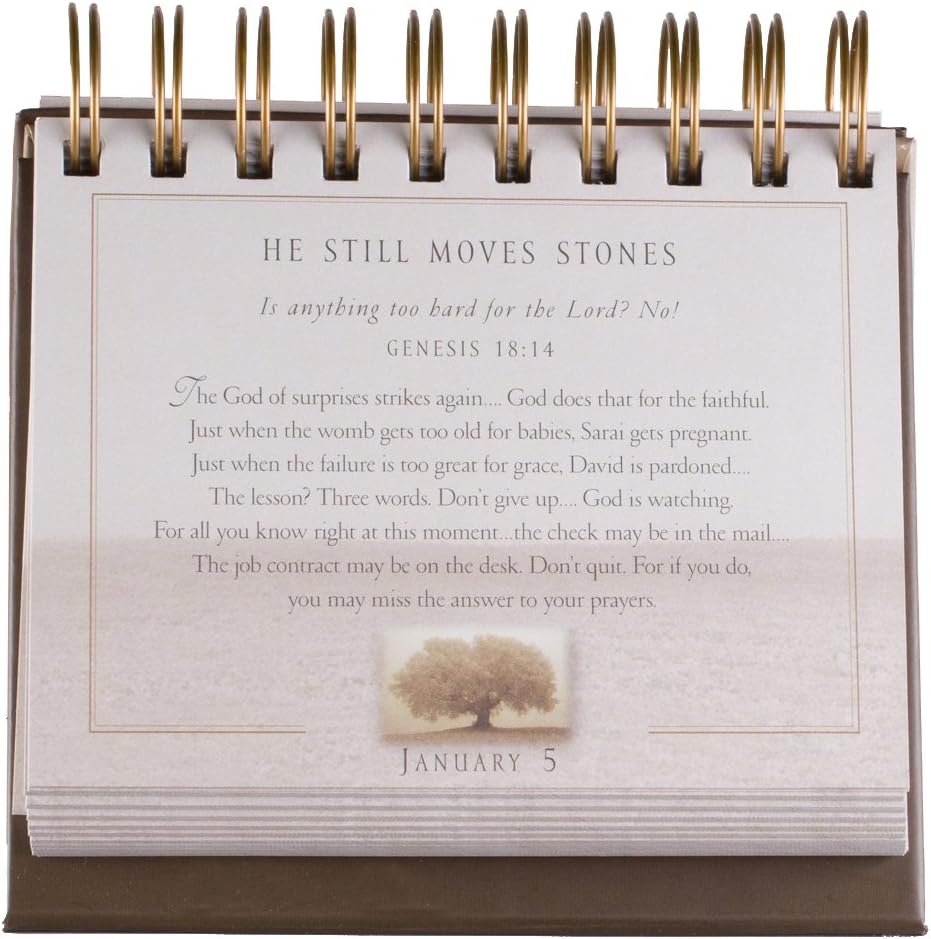 God's Promises Day by Day: 365 Days of Inspirational Thoughts - An Inspirational DaySpring DayBrightener - Perpetual Calendar