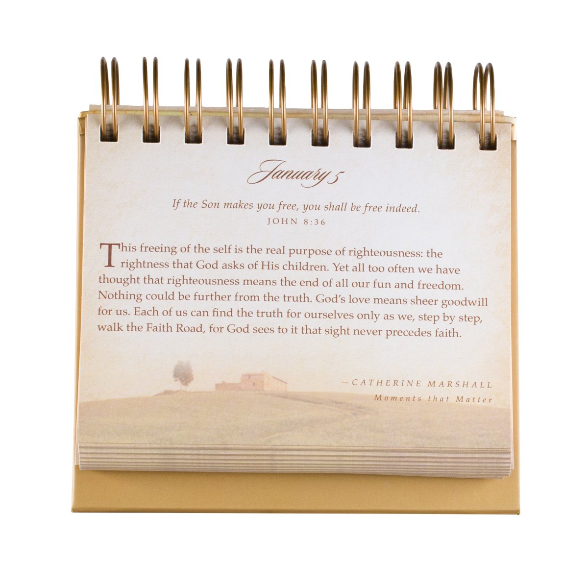 God's Promises Day by Day: 365 Days of Inspirational Thoughts - An Inspirational DaySpring DayBrightener - Perpetual Calendar